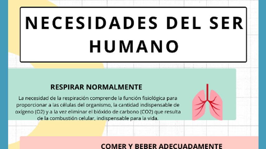 Imagen 8